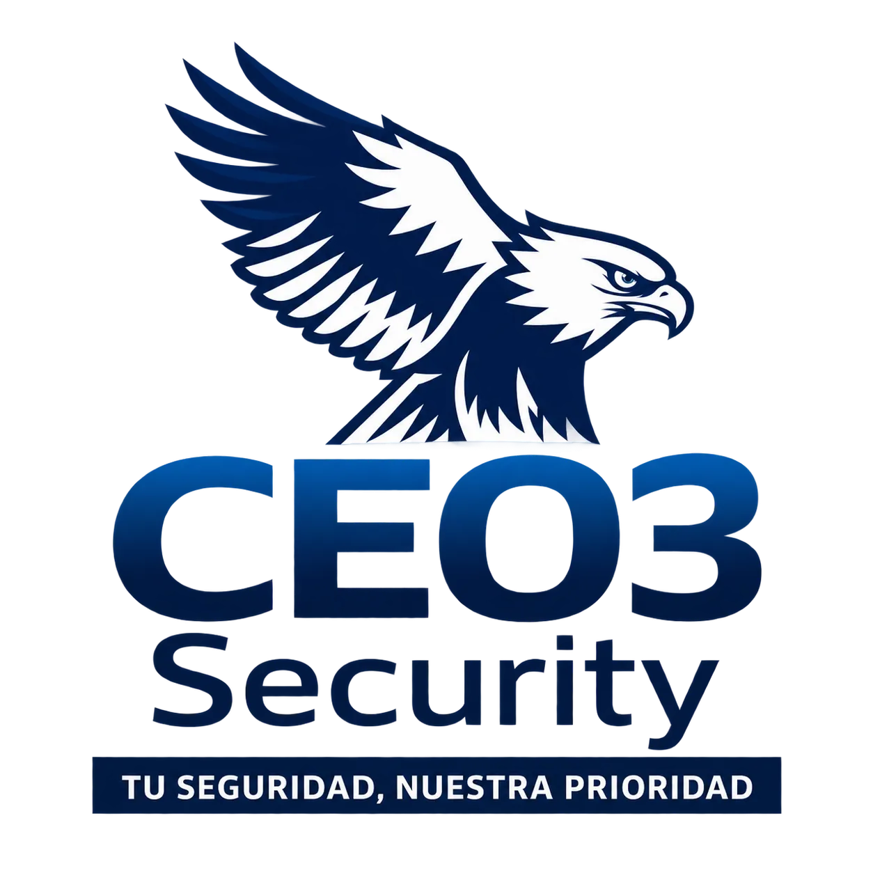 CEO3 Security